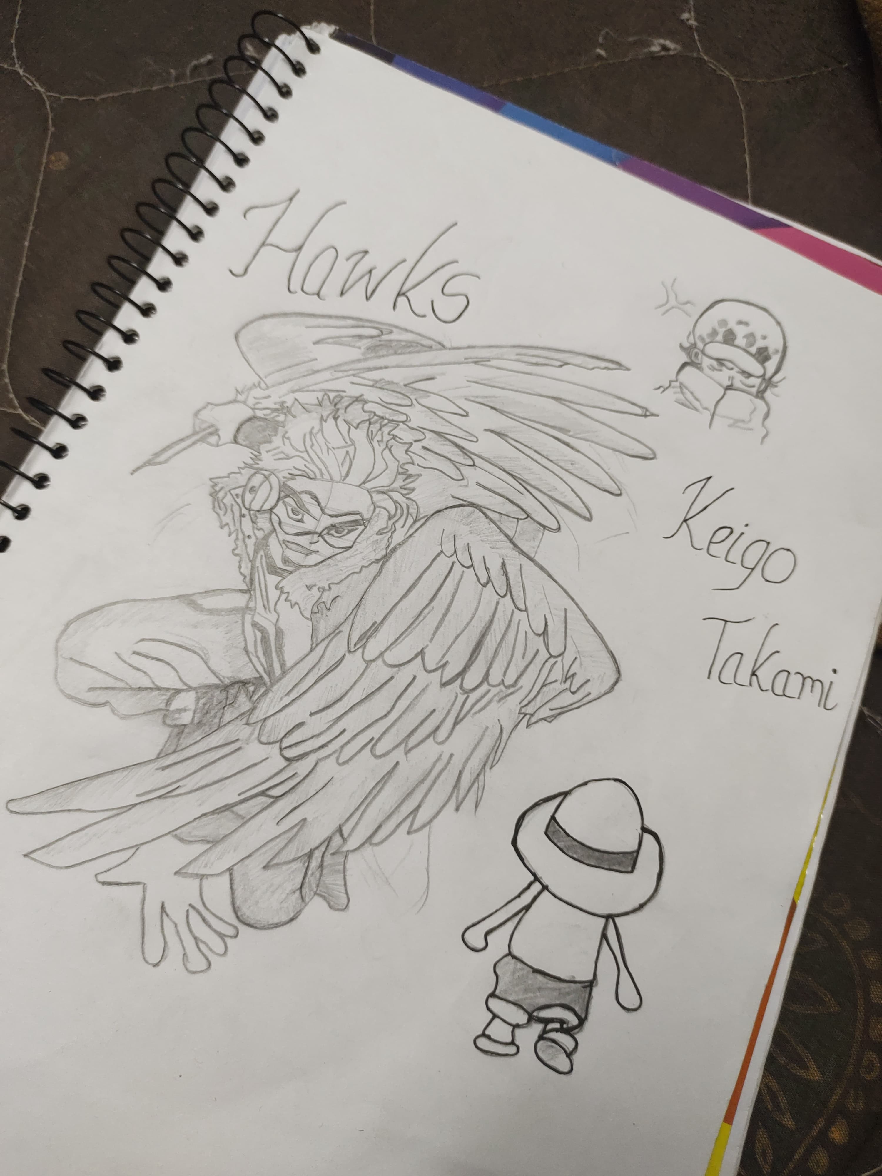 Hawk Art
