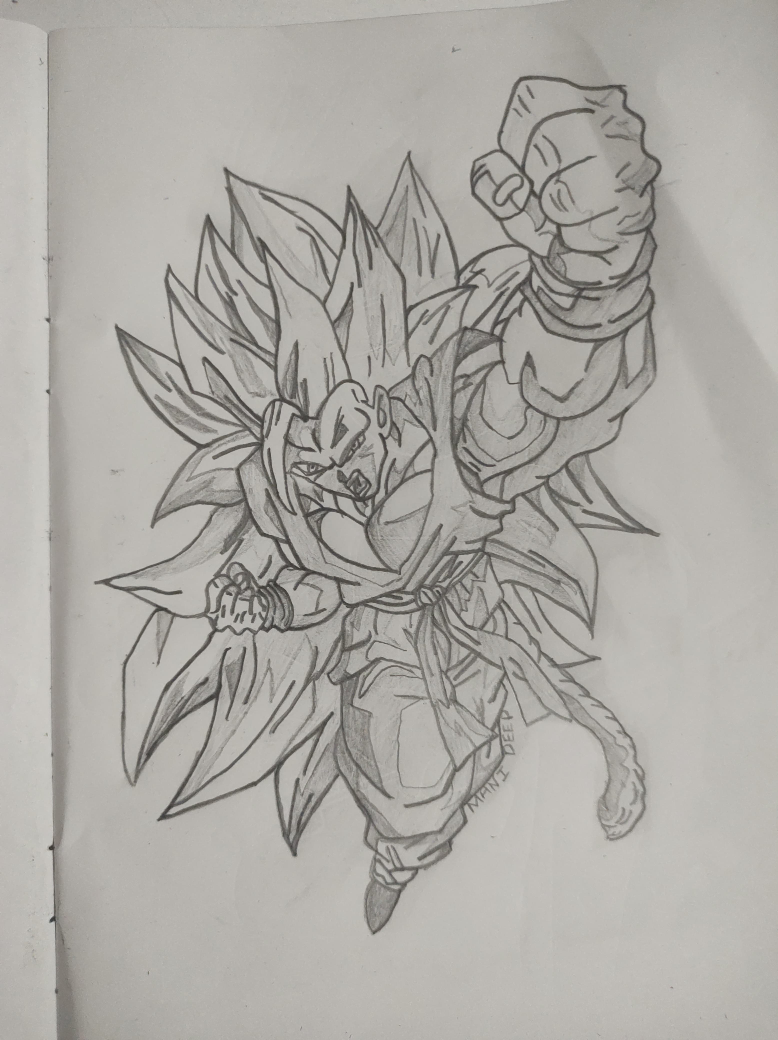 SSJ3 Art