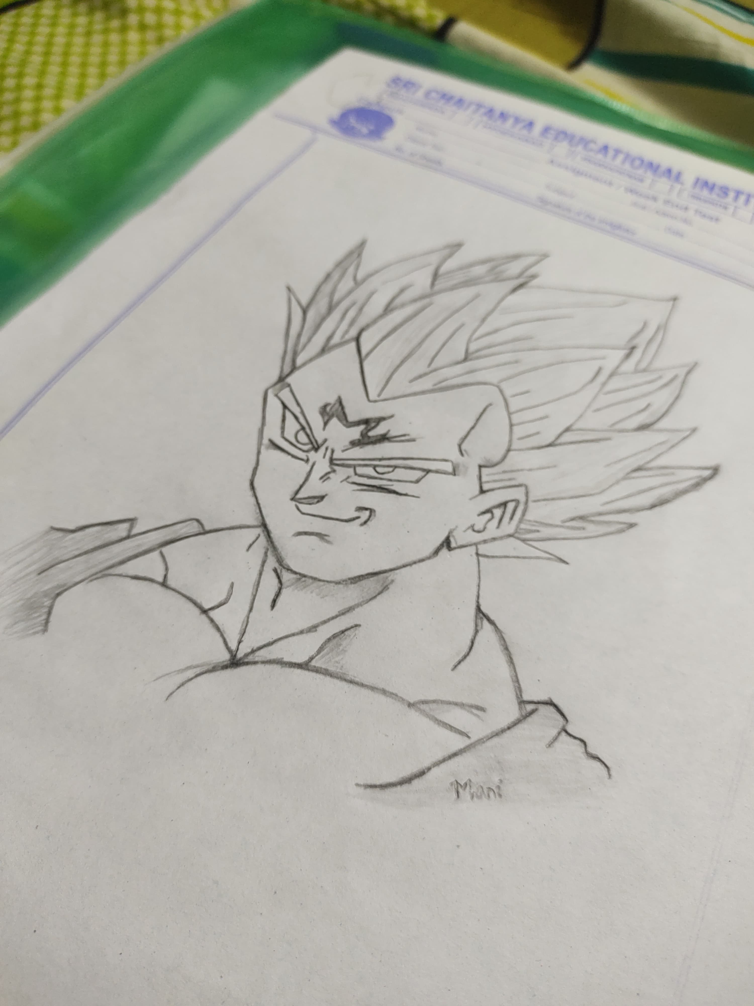 Vegeta Art